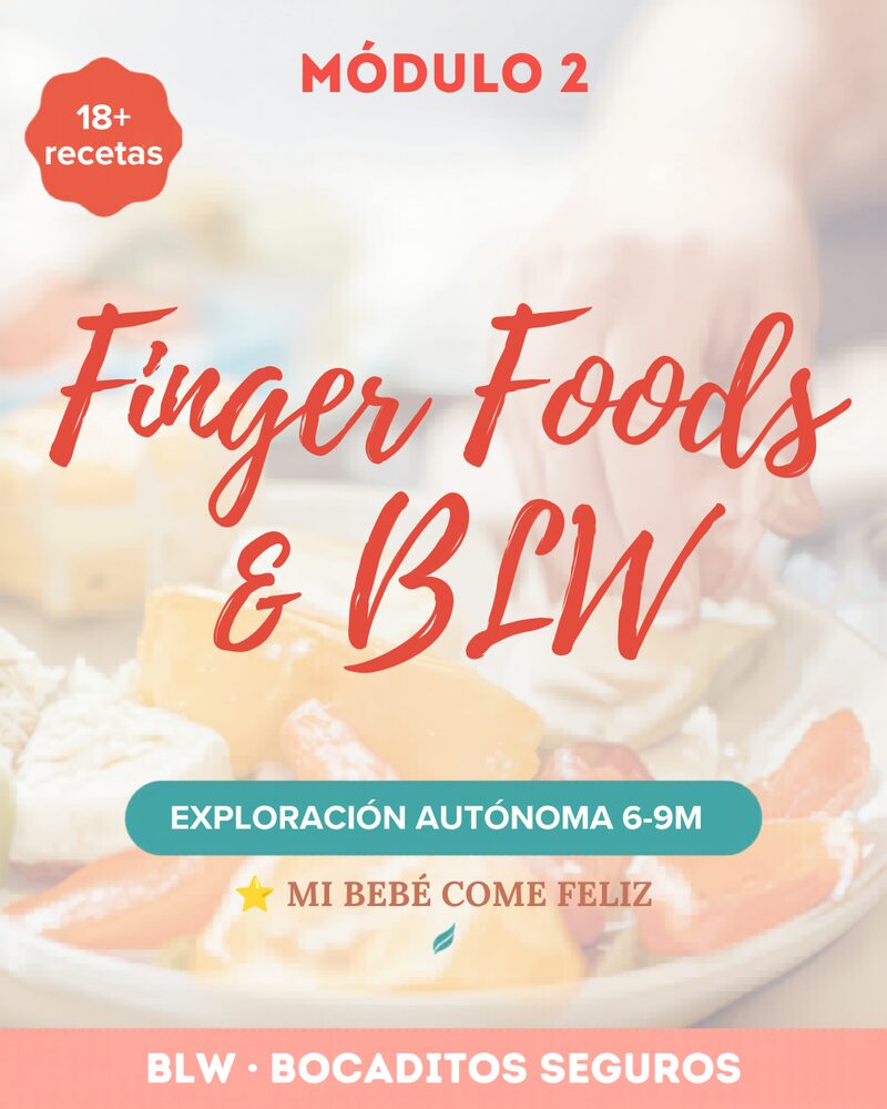 Módulo 2: Finger Foods y BLW 6-9m